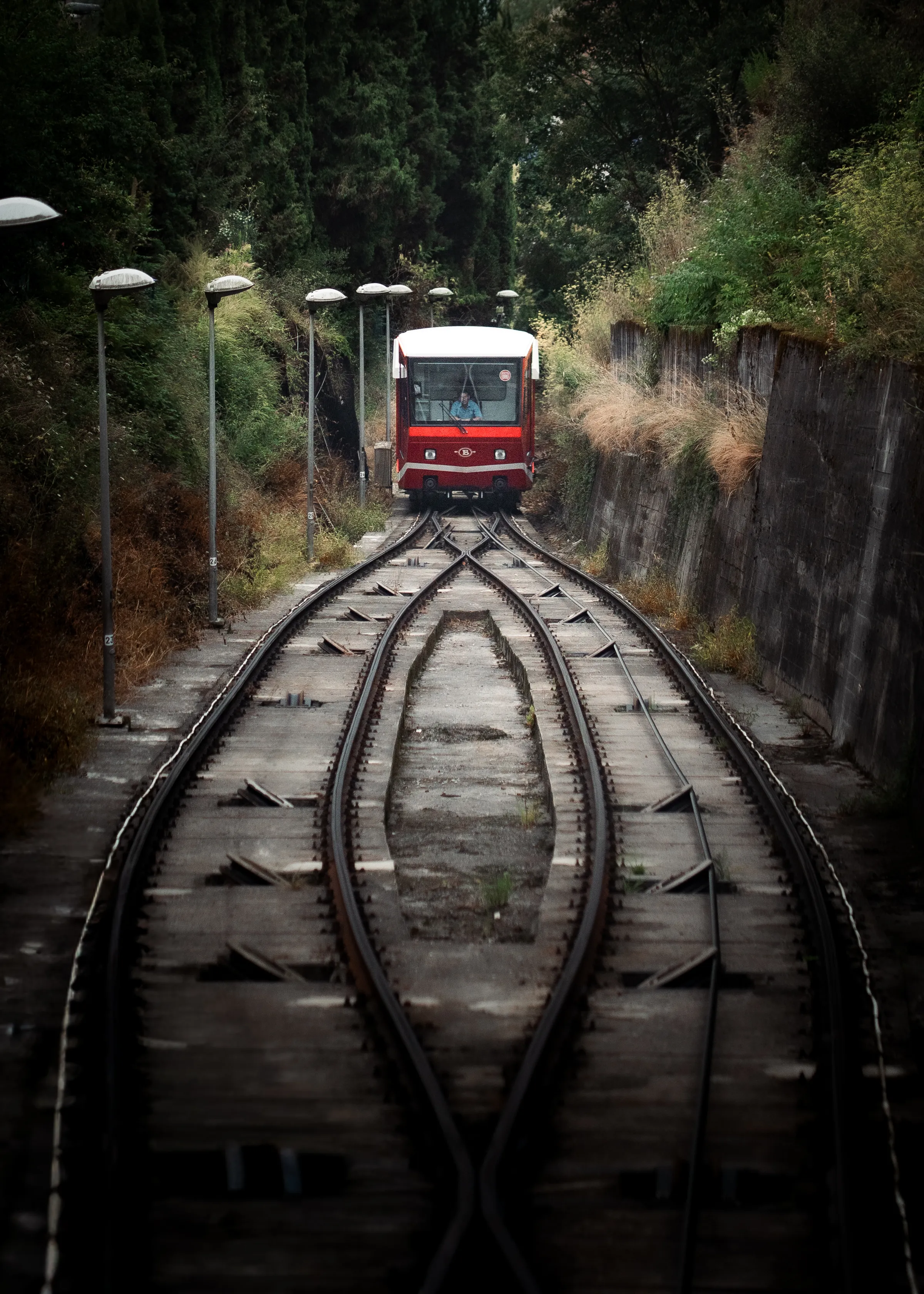 A red railcar approaches branching tracks surrounded by trees.