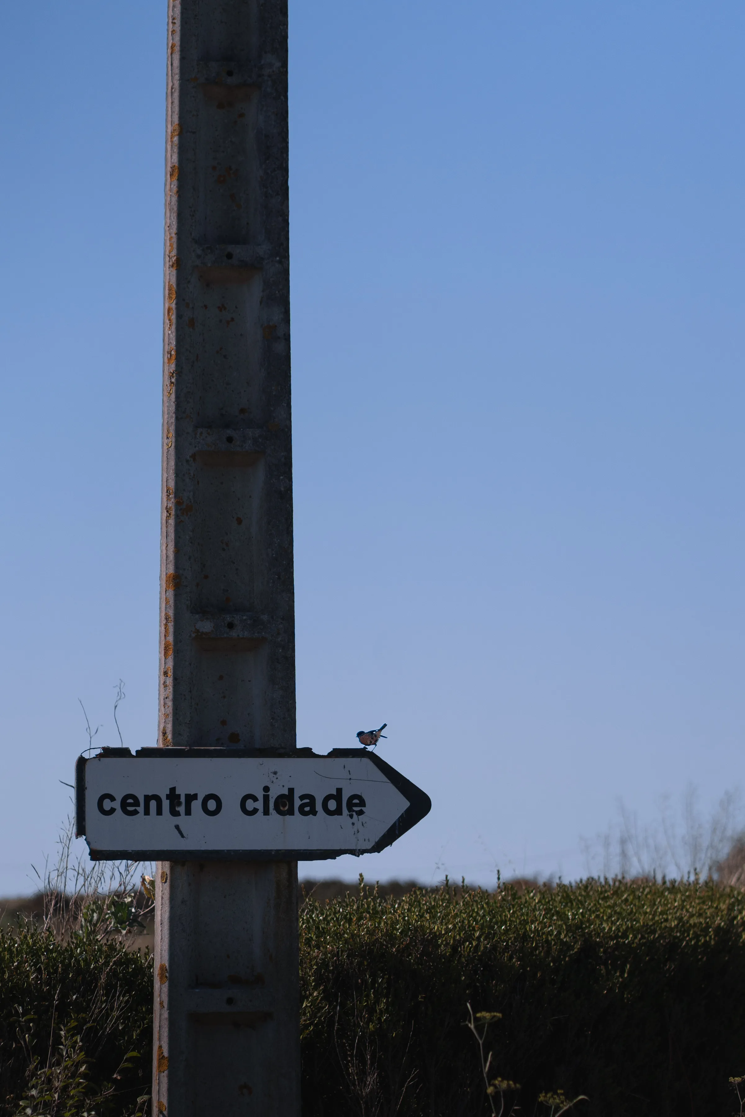 A directional street sign points toward the city centre beneath a blue sky.