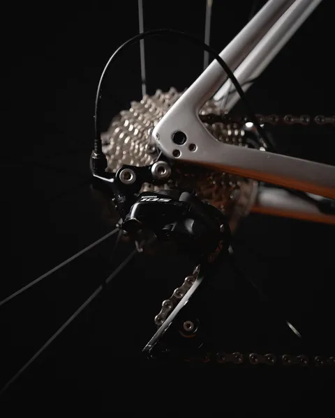 Rear derailleur of a silver Trek bicycle