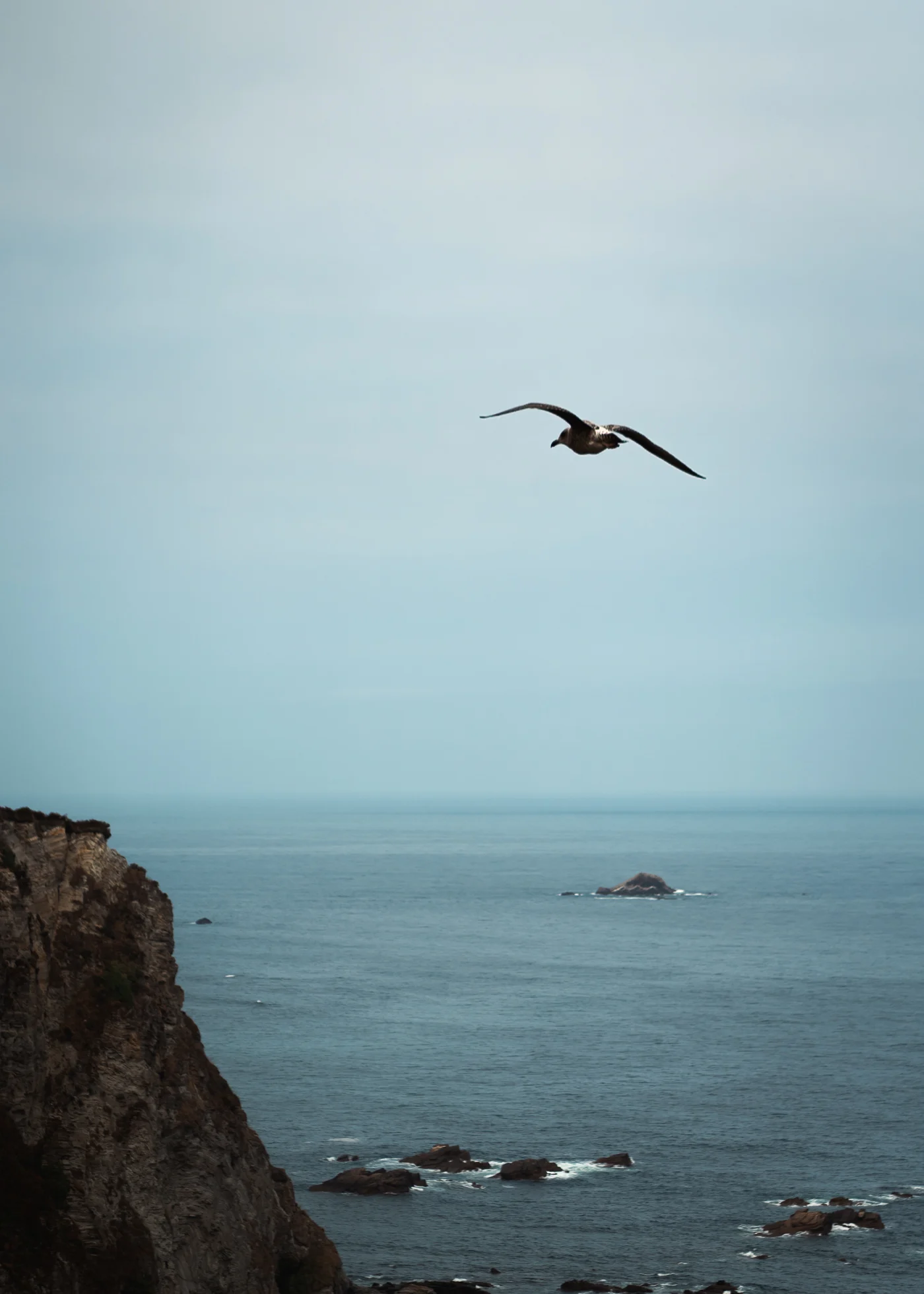 Photograph 10 from Spain, in transit